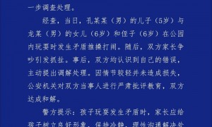 仨娃打闹家长喊“打回去”，后来直接互殴，警方通报